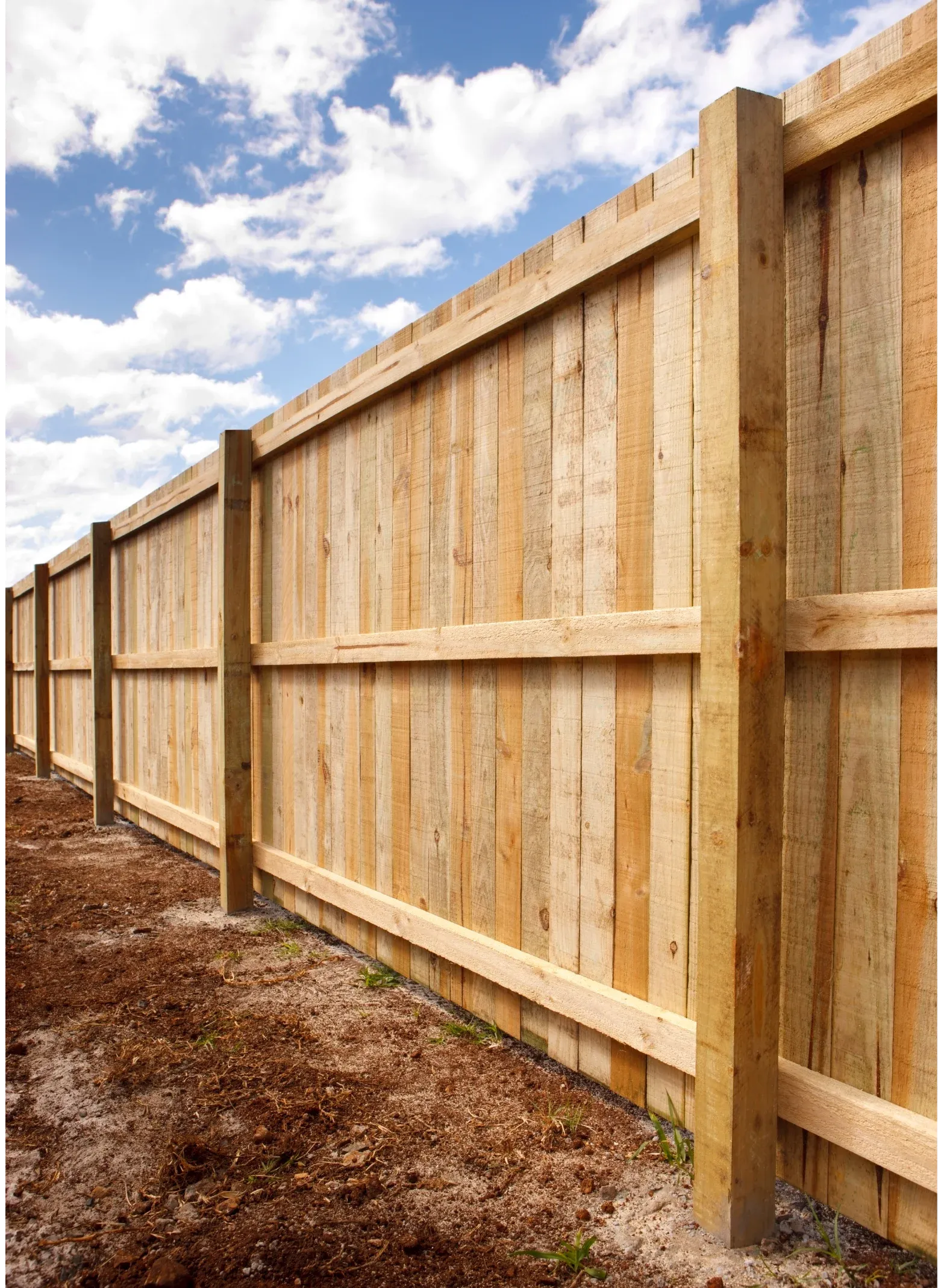 New timber paling fence installation in Gold Coast