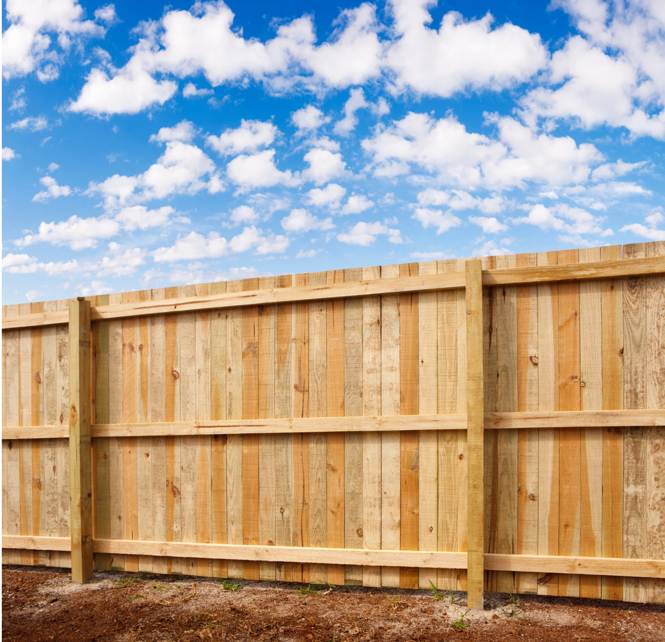 Professional fencing installation in Maylands